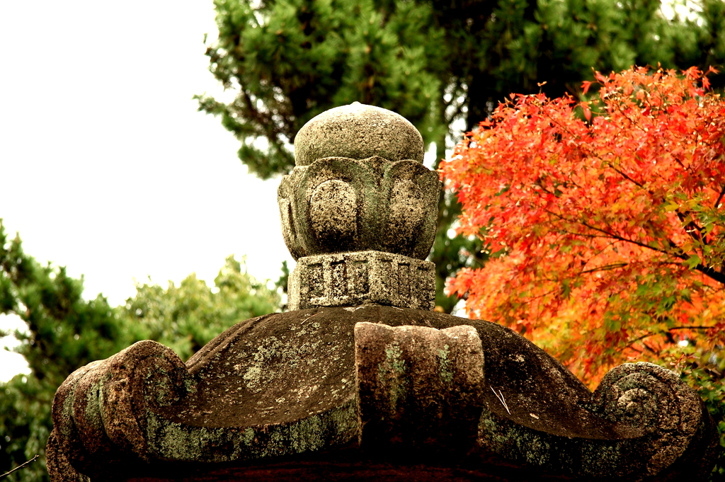 法善寺にて