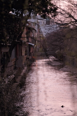 京都