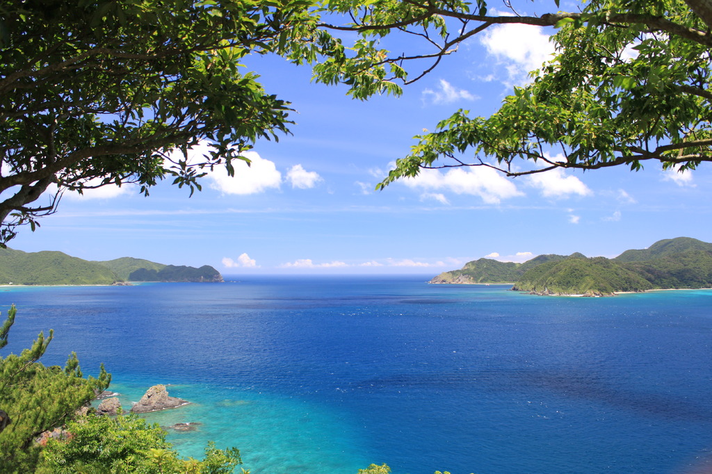 夏の海
