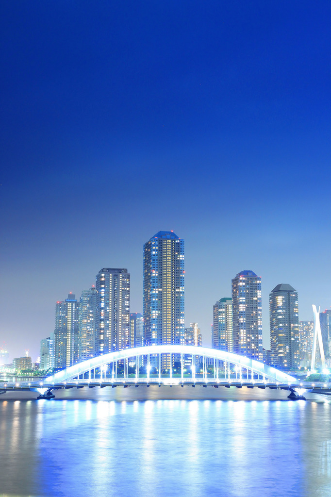水上都市