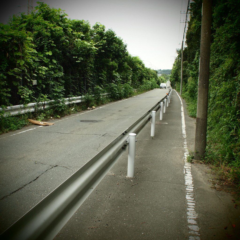 東名高速脇