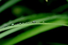 水滴（鶴間公園）