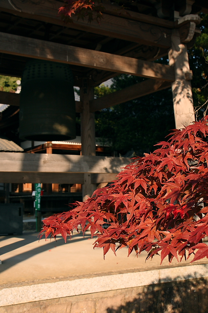 紅葉と寺