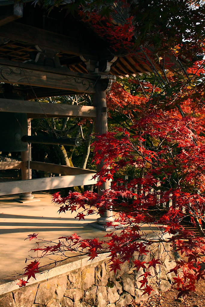 紅葉と寺