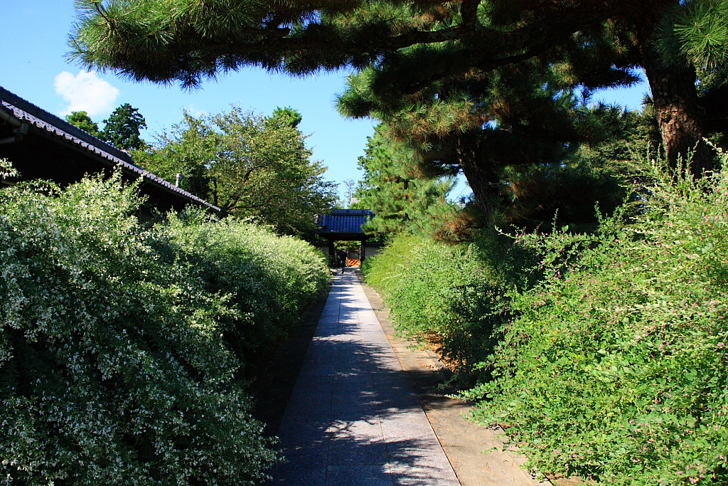 秋のお寺