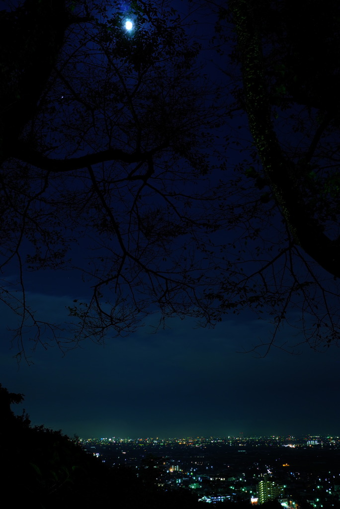 Harvest Moon