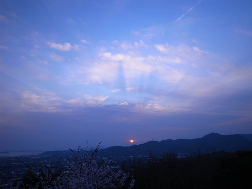 夕櫻