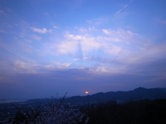 夕櫻