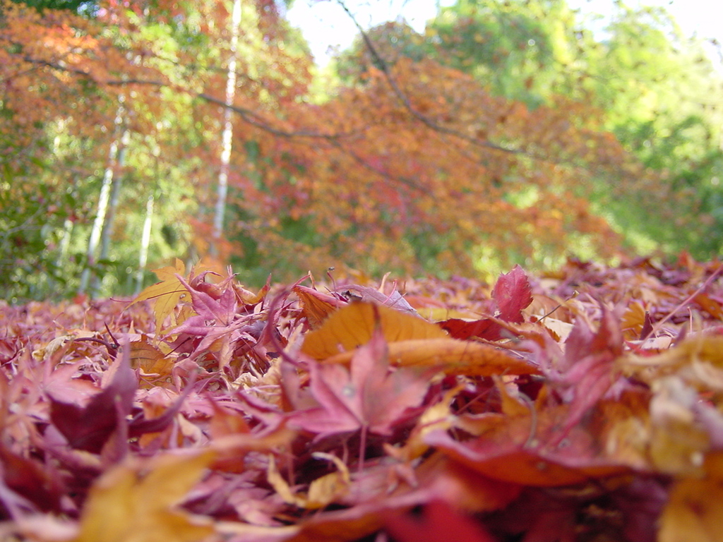 直指庵にて　１