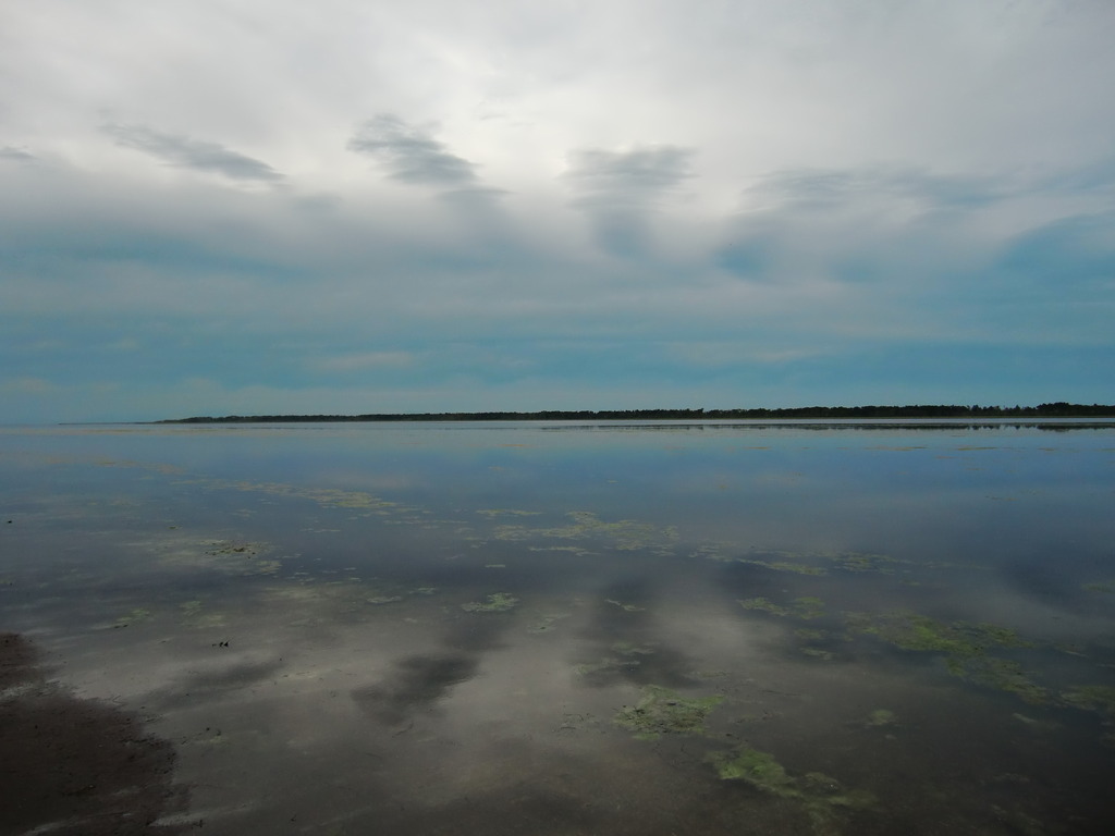 湖面は雲柄