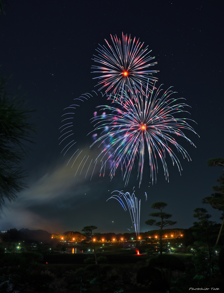 夜梅祭に咲きし花