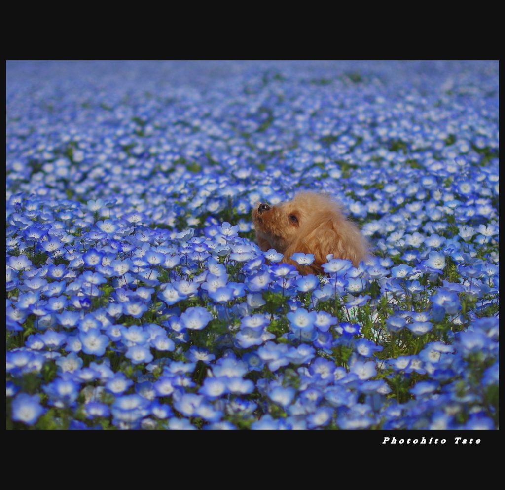 春うらら♪