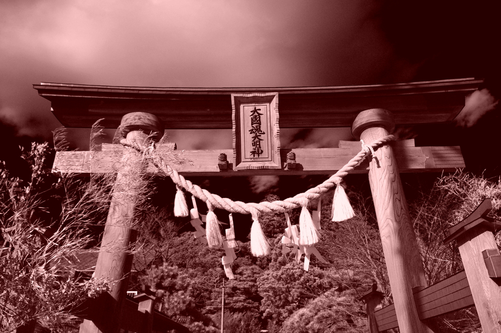 入口