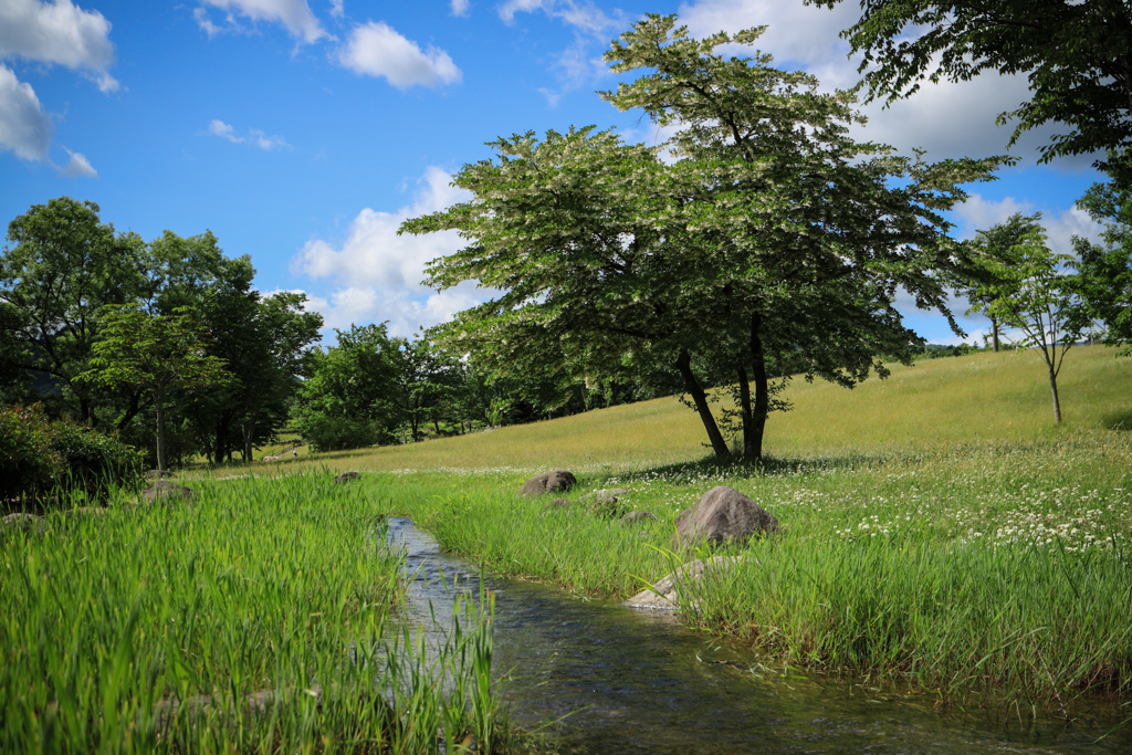 小川のある風景 by Tate （ID：6816191） - 写真共有サイト