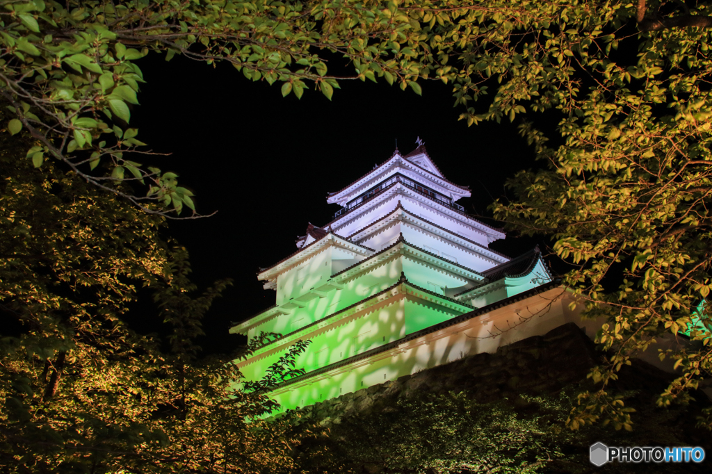 葉桜JAPAN