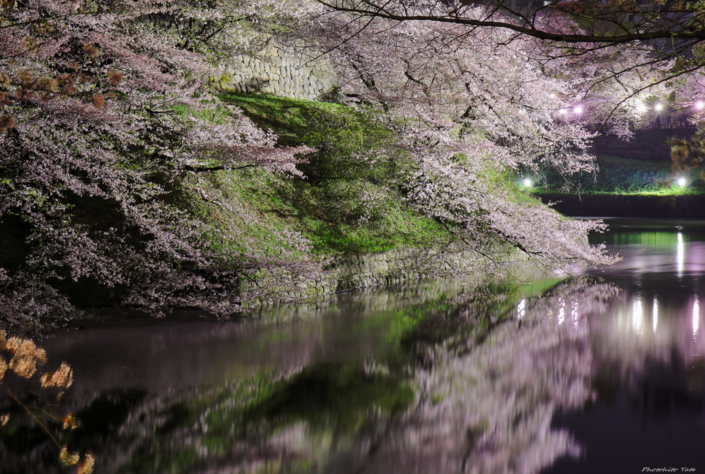 桜咲く