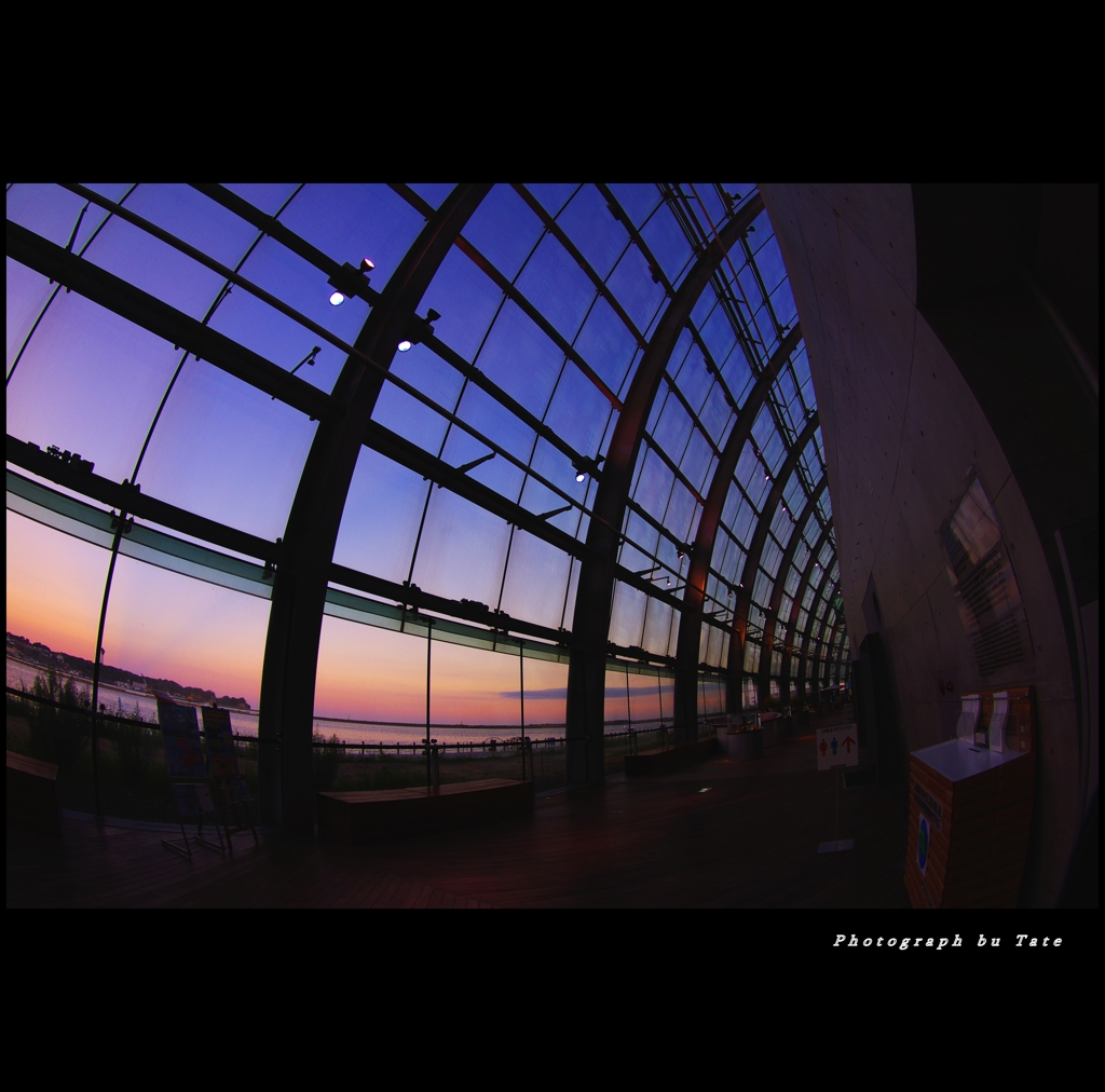 夕暮れ水族館