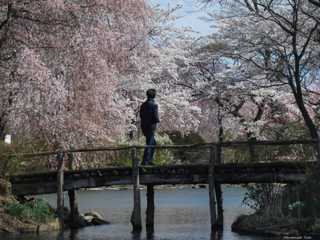 桃源郷をゆく
