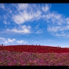 Blue sky ～みんな空の下～