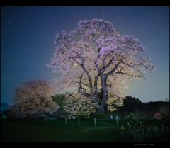 天駆ける