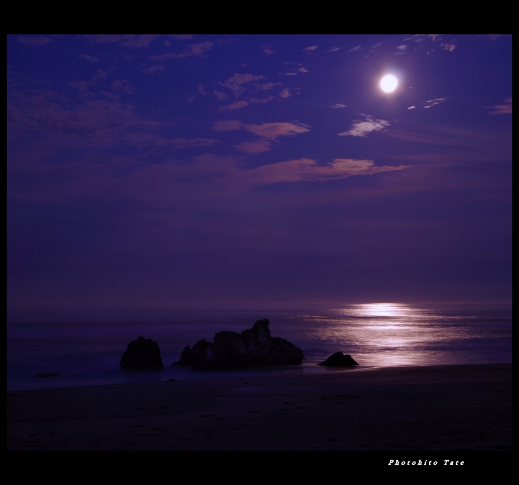満月に照らされて ~見上げたらSuper moon~