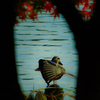 南斗水鳥拳