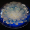 ガラスの中に咲きし花