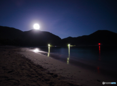 月夜