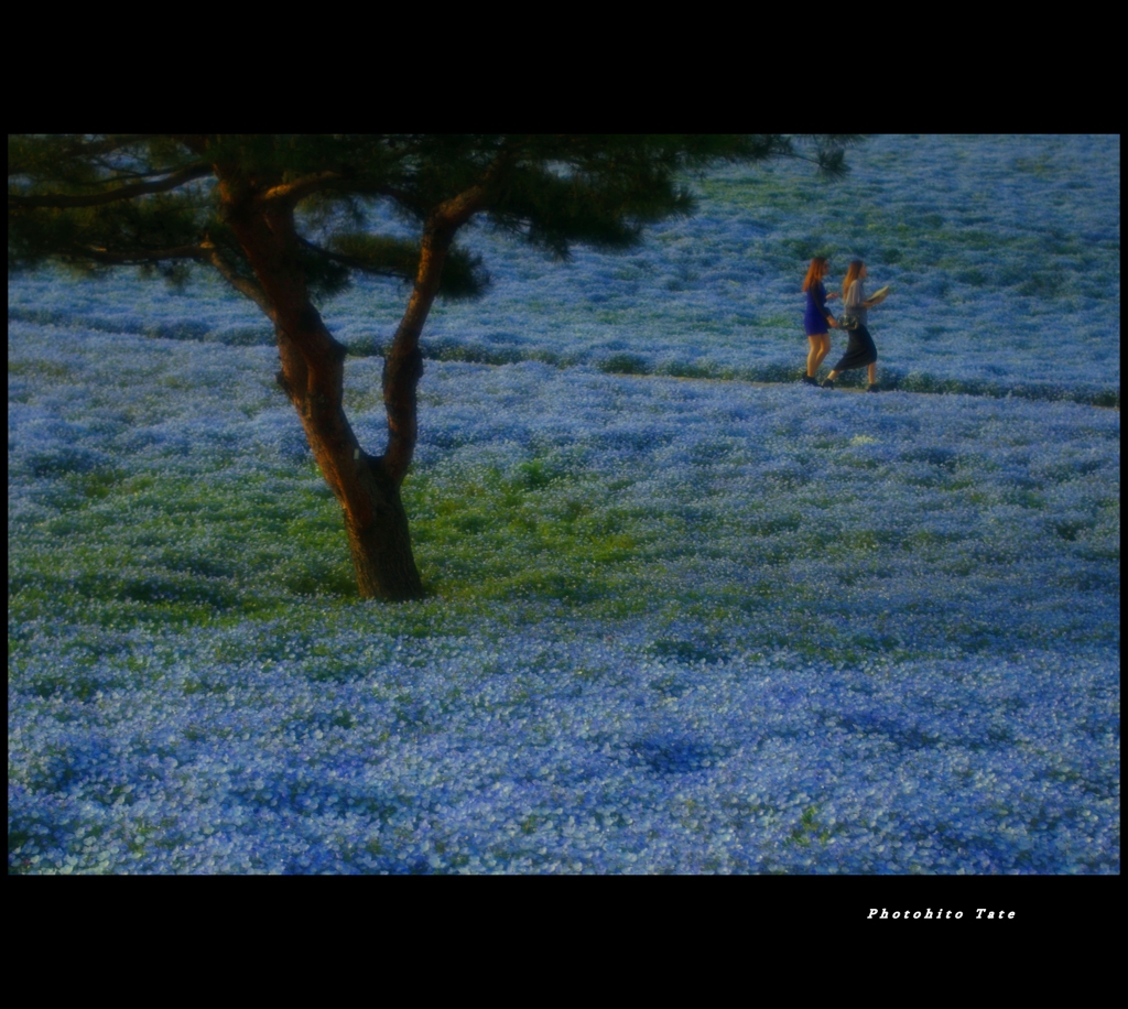 In the dream ～夢の中で～