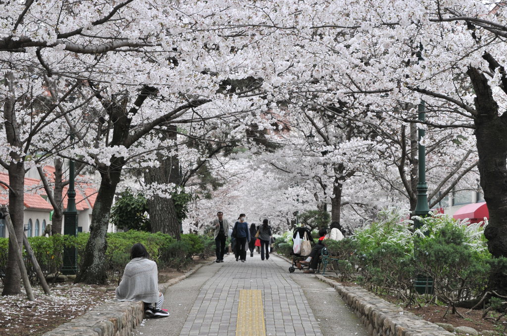 華道