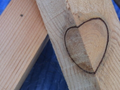 木材の心