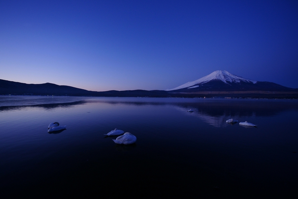 静かな朝