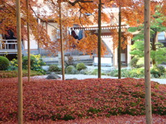 雷山千如寺大悲王院