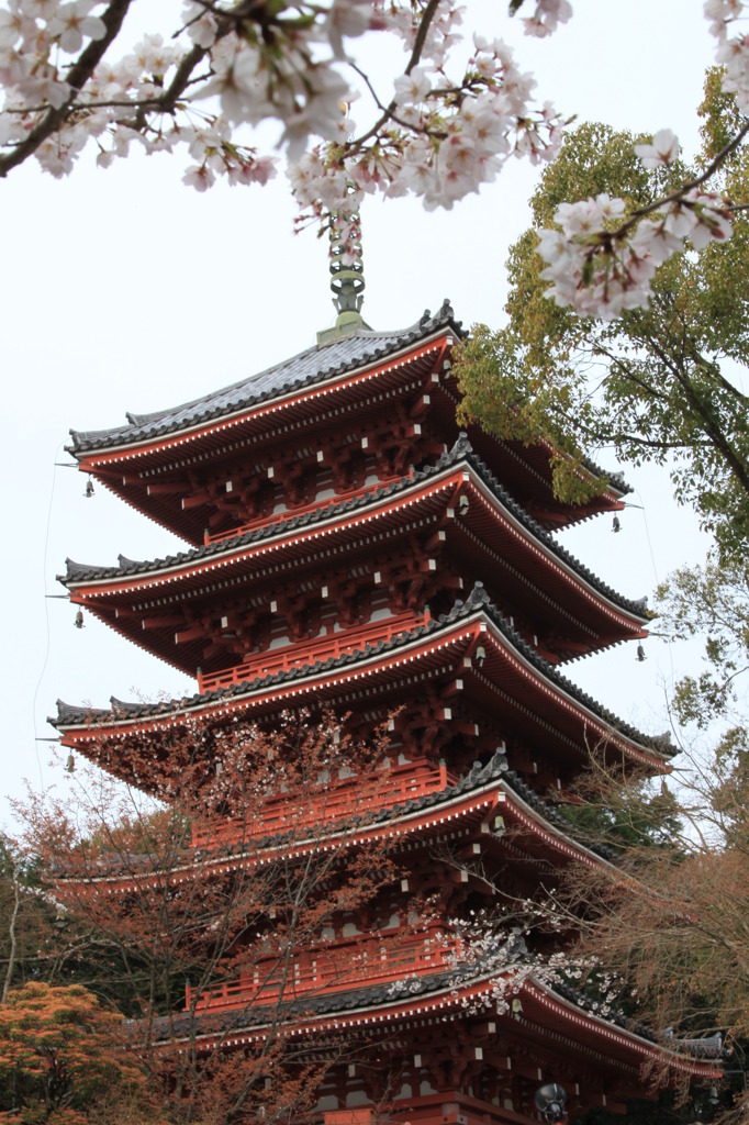 高知県・五台山・五重塔