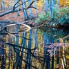 Reflection