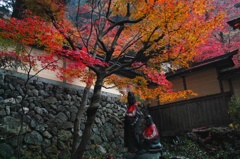 紅葉〜横蔵寺