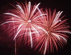 盛岡花火の祭典2009　(1)