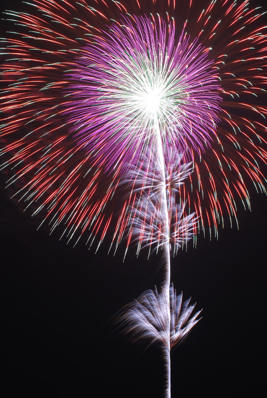 盛岡花火の祭典2009　(8)