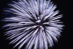 盛岡花火の祭典2009　(2)