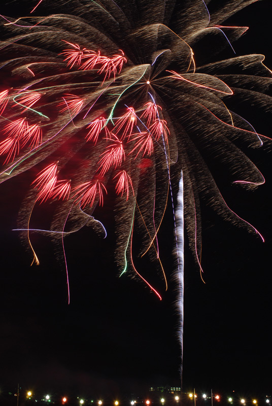盛岡花火の祭典2009　(4)
