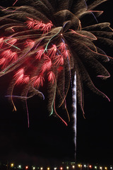 盛岡花火の祭典2009　(4)