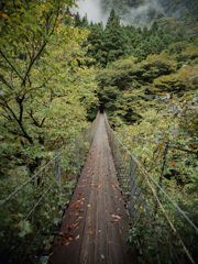 森への吊橋