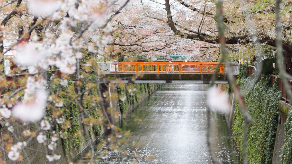 目黒川