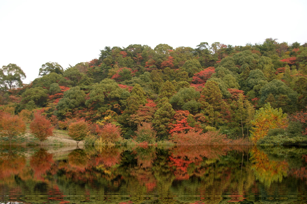 紅水鏡　