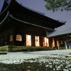妙心寺