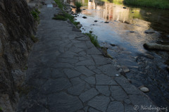川沿い散歩道