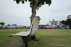 小雨の公園ベンチ