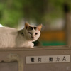 あ？起こしちゃいました？