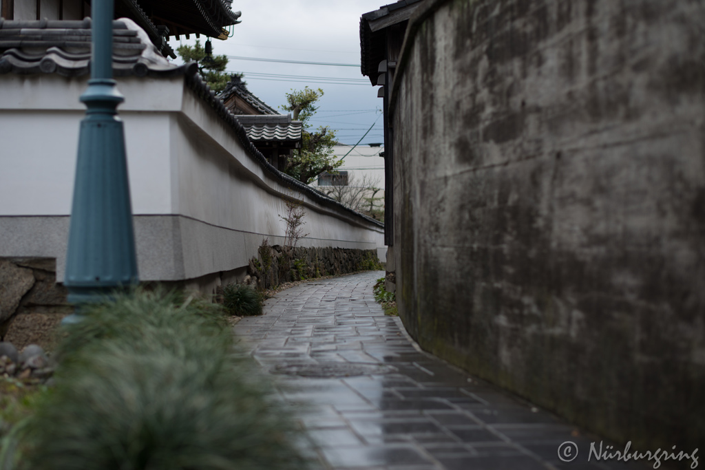 雨の路地と覗く猫