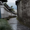 雨の路地と覗く猫